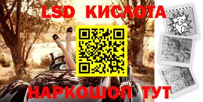 мдпв Гатчина