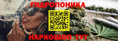 мдпв Гатчина