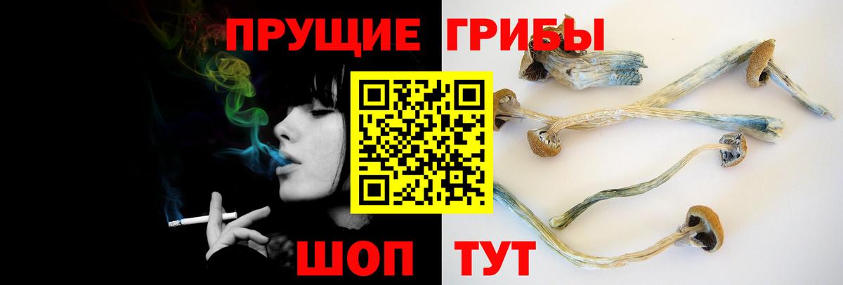 Псилоцибиновые грибы Cubensis Копейск